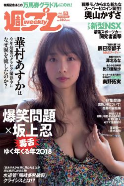 胜女的代价2电视剧